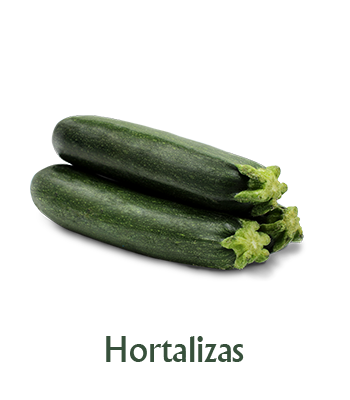 hortalizas