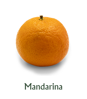slider-mandarina