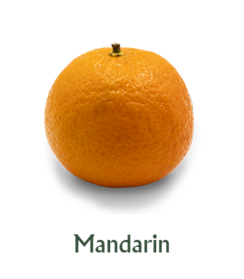 slider-mandarina-en