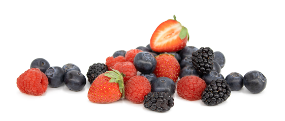 agribio organic Berries