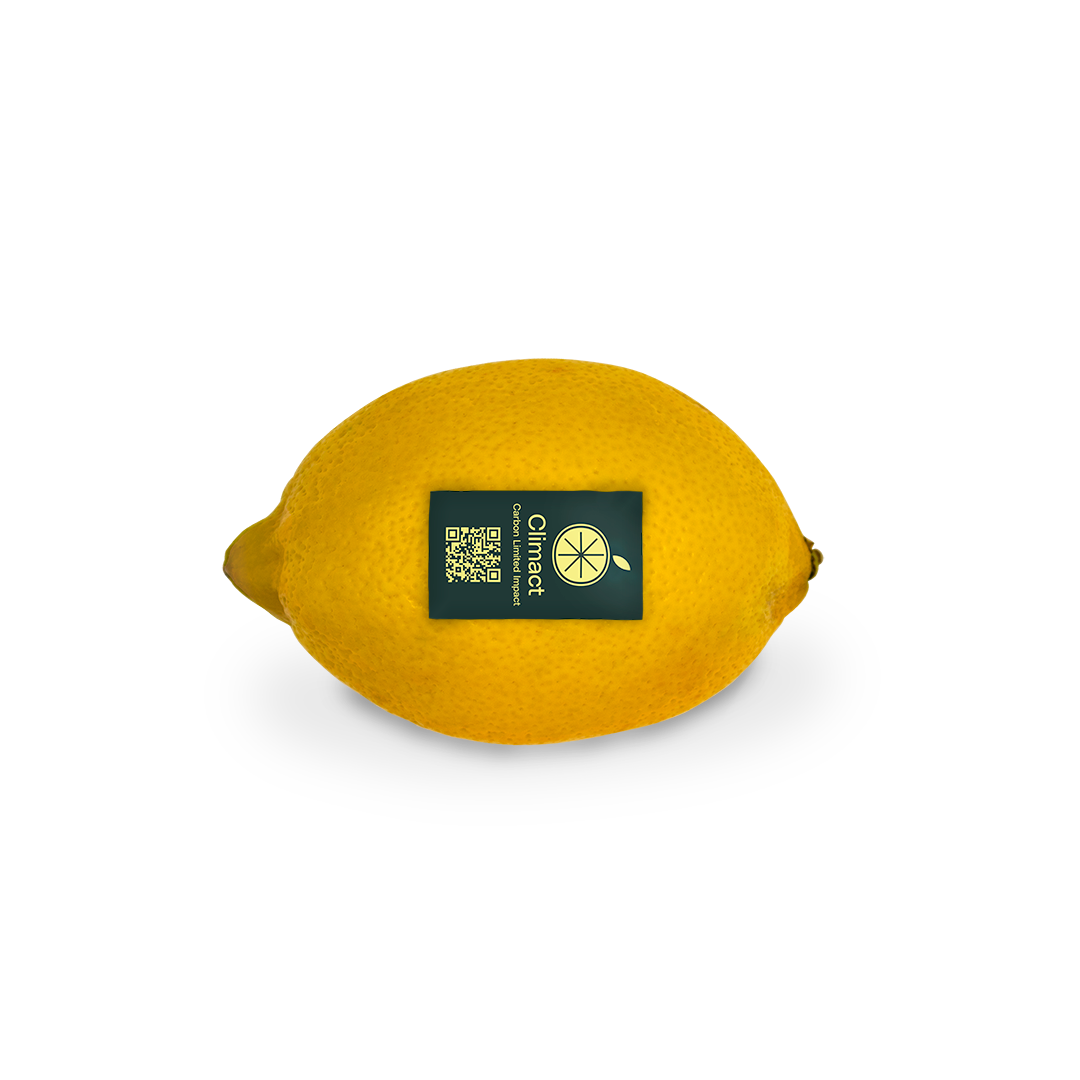 Primofiori carbono neutro